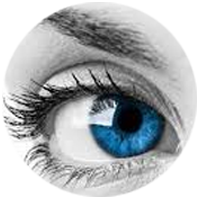 ::<strong>Eye Vision 2020</strong>